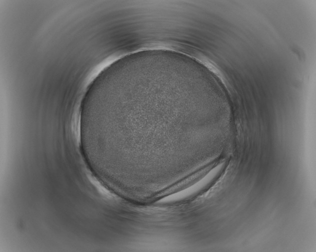 X0000113021127200909101832