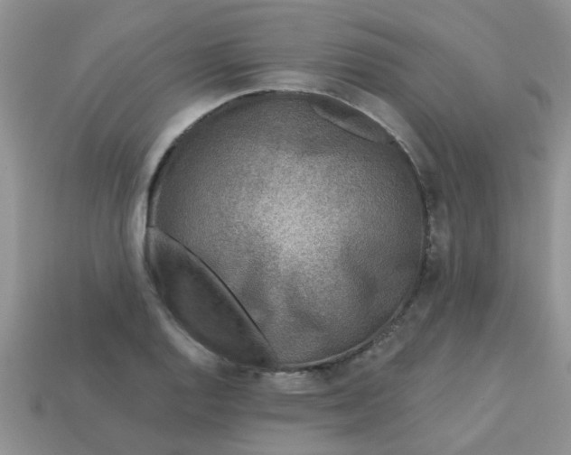 X0000113021128200909101832