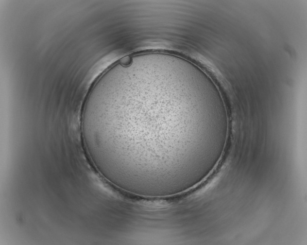 X0000113021129200909101832