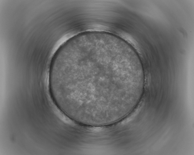 X0000113021130200909101832