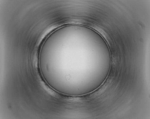 X0000113021131200909101832
