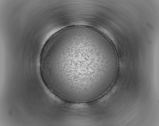 X0000113021133200909101832