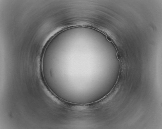 X0000113021134200909101832