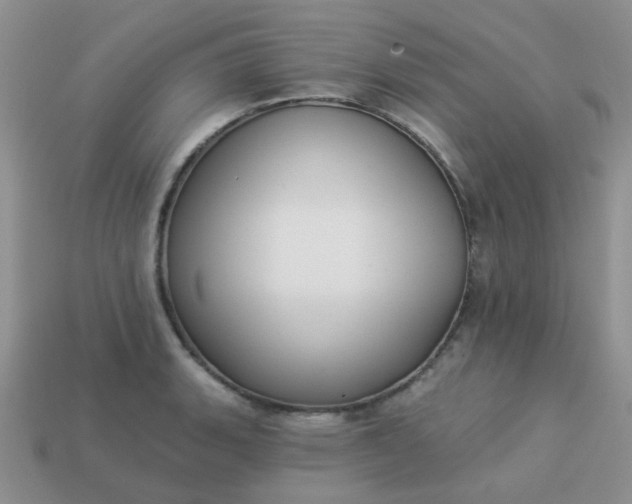 X0000113021135200909101832