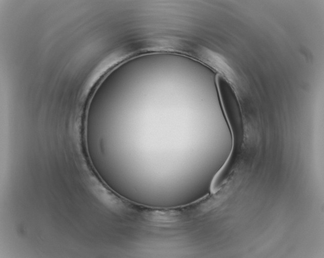 X0000113021138200909101832