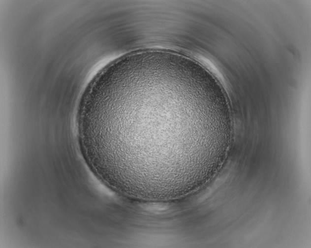 X0000113021141200909101832