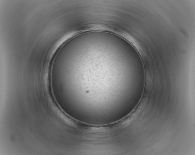 X0000113021142200909101832