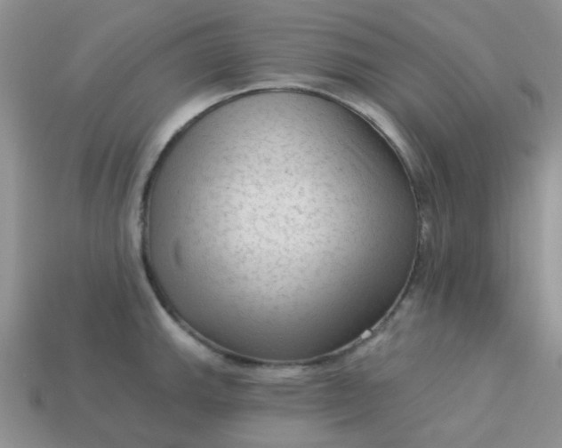 X0000113021143200909101832