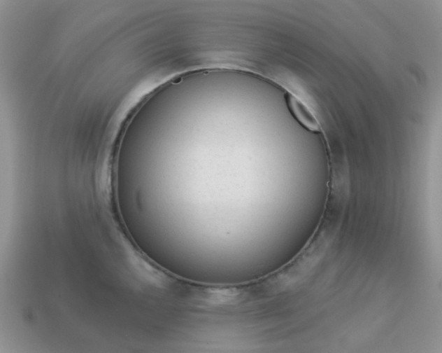 X0000113021144200909101832
