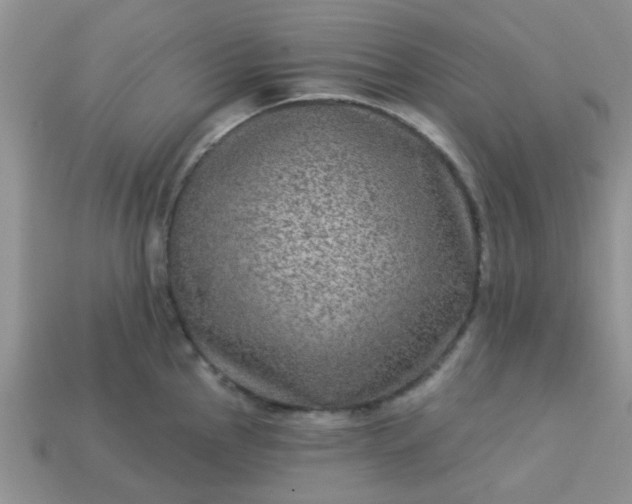 X0000113021145200909101832