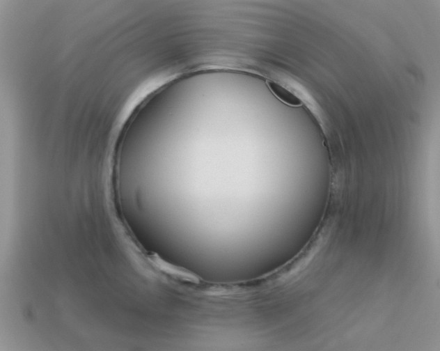 X0000113021146200909101832