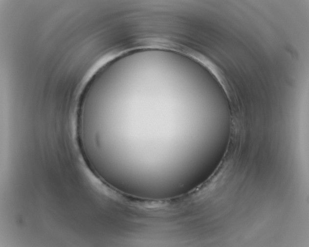 X0000113021147200909101832
