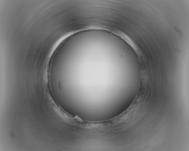 X0000113021148200909101832
