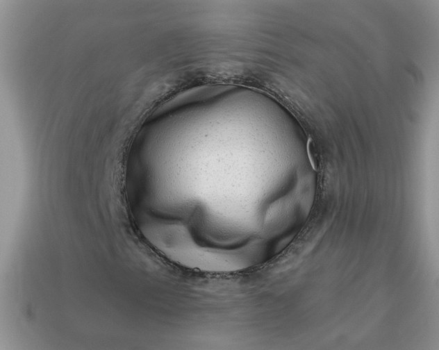 X0000113021153200909101832