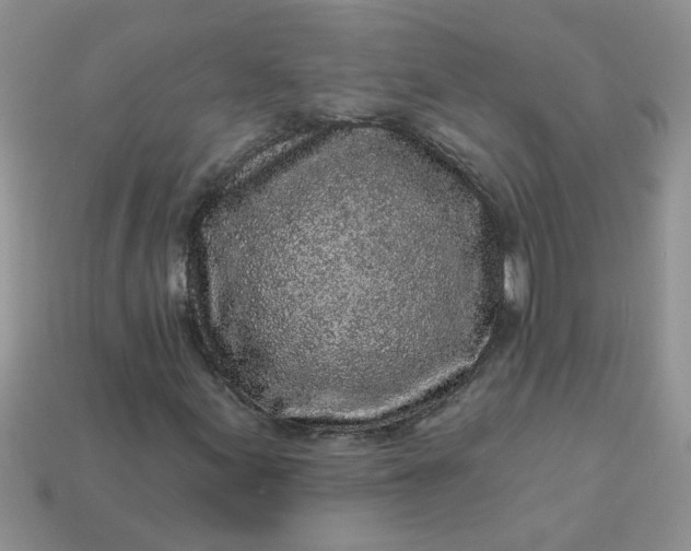 X0000113021155200909101832
