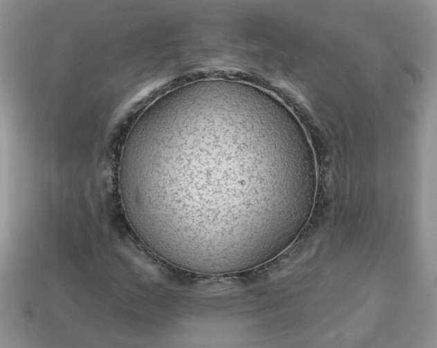 X0000113021159200909101832