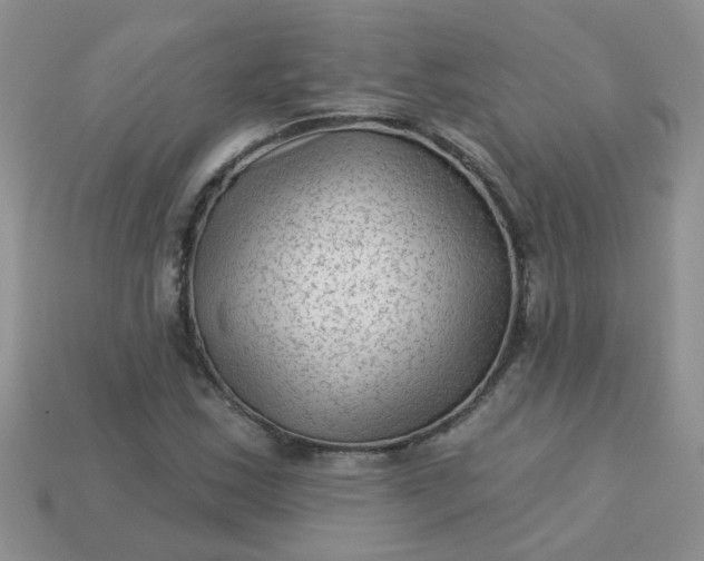 X0000113021163200909101832