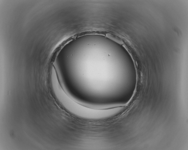 X0000113021165200909101832