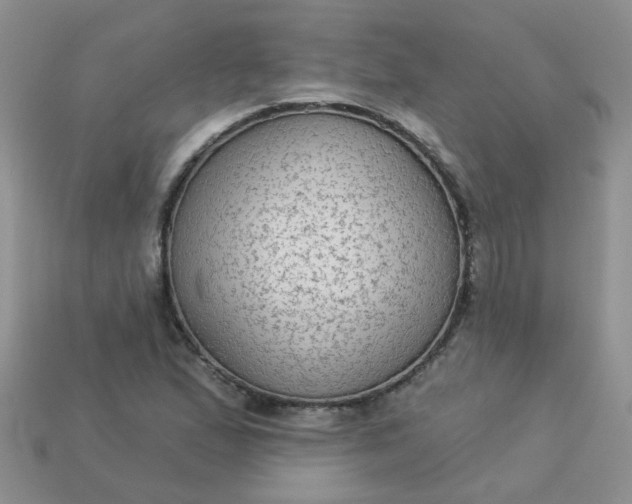 X0000113021167200909101832