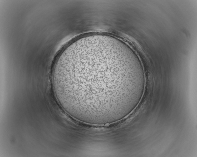 X0000113021168200909101832