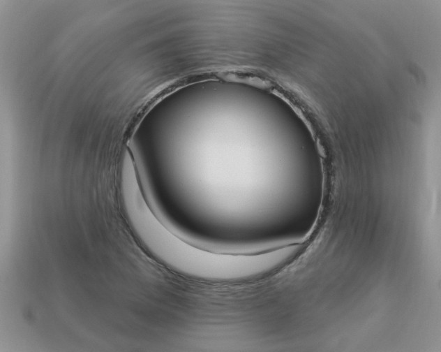 X0000113021169200909101832