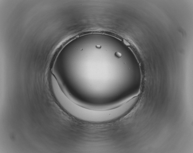 X0000113021173200909101832