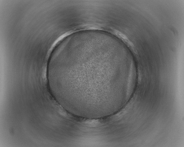 X0000113021174200909101832