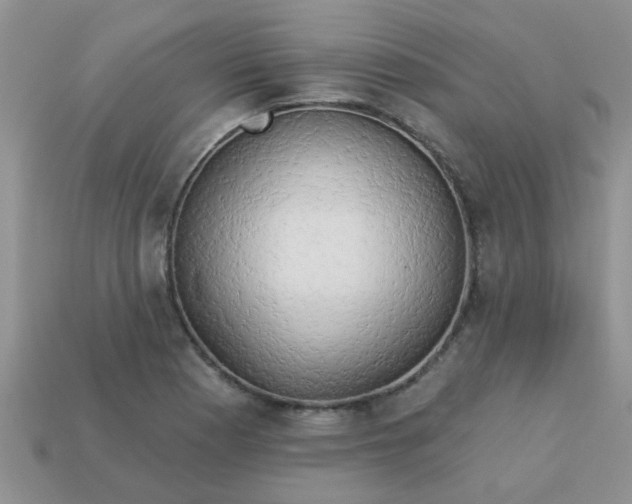 X0000113021177200909101832
