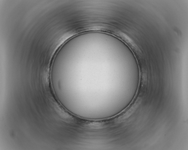 X0000113021178200909101832
