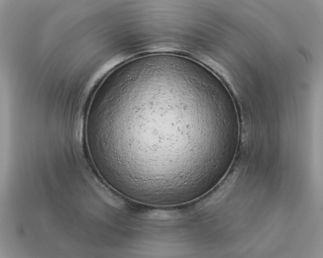 X0000113021179200909101832