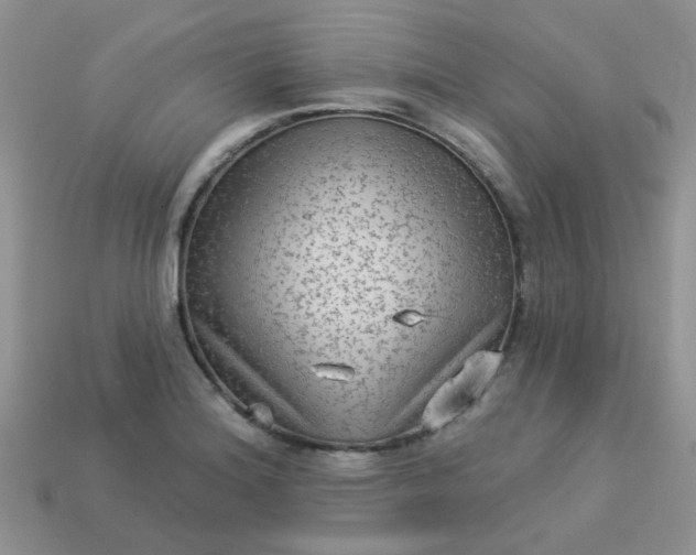 X0000113021180200909101831