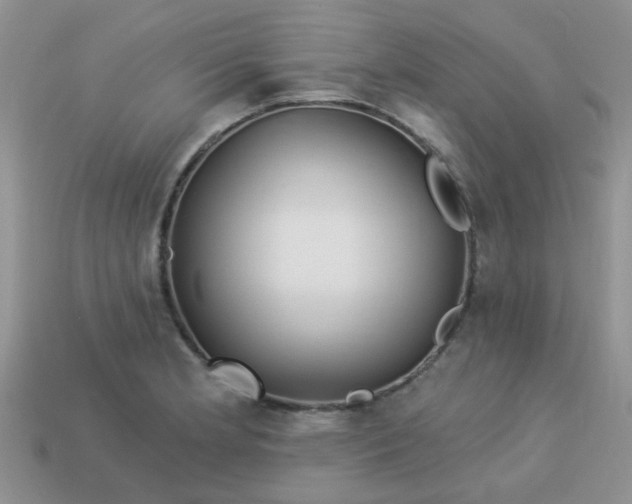 X0000113021181200909101831