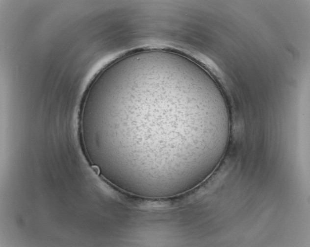 X0000113021183200909101831