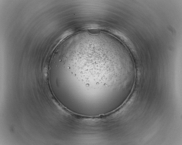 X0000113021185200909101831