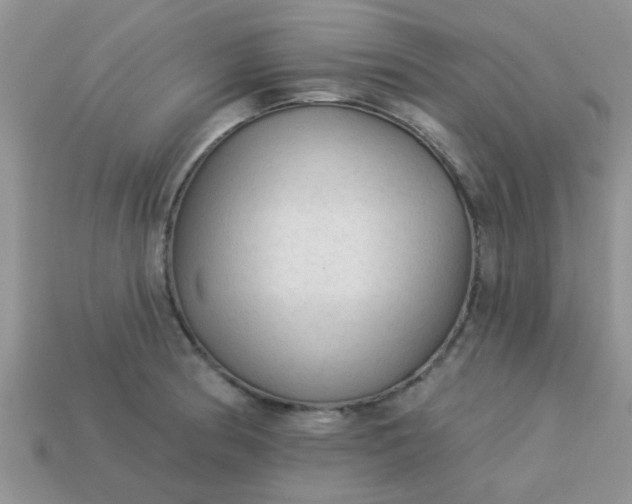 X0000113021186200909101831