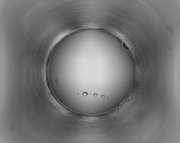 X0000113021187200909101831