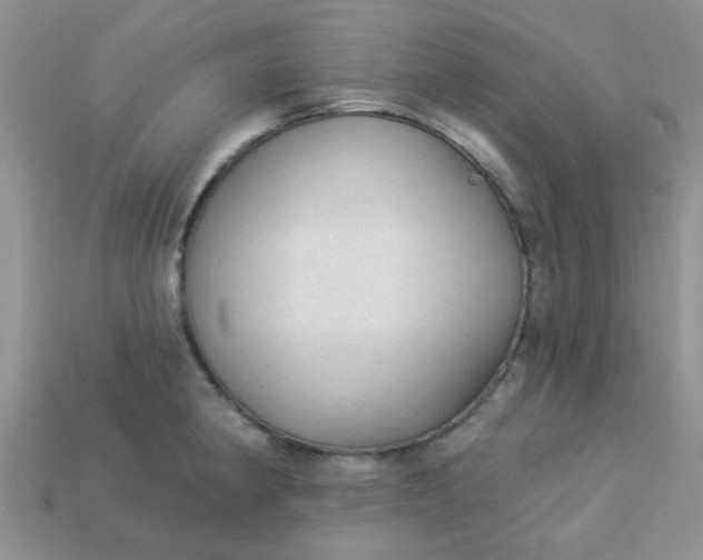 X0000113021190200909101831