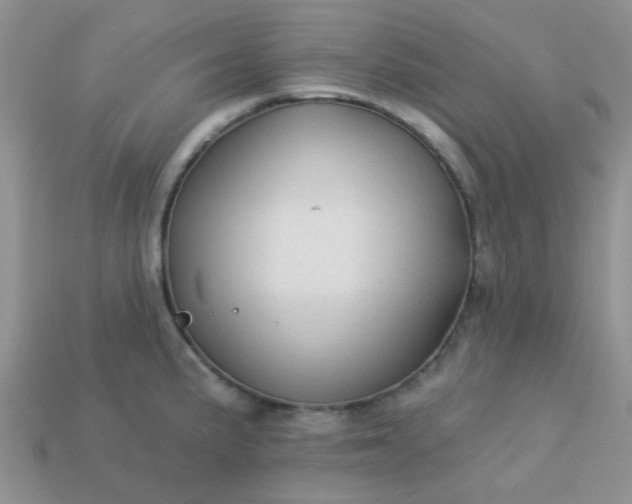 X0000113021191200909101831