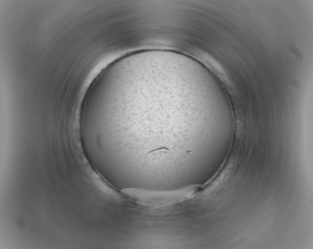 X0000113021192200909101831