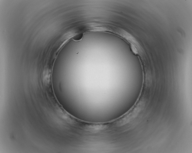 X0000113021193200909101831