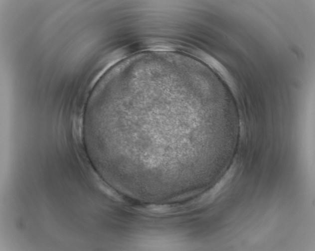 X0000113021194200909101831