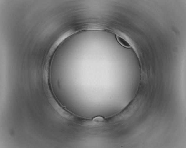 X0000113021195200909101831