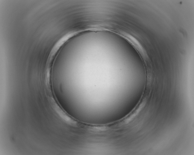 X0000113021196200909101831