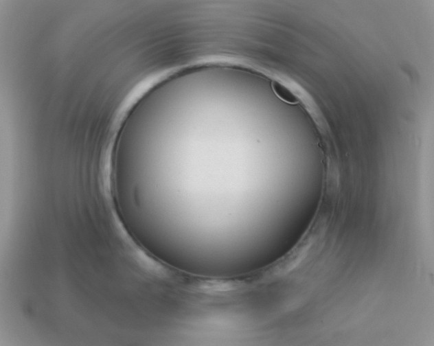 X0000113021199200909101831