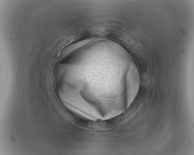 X0000113021201200909101831