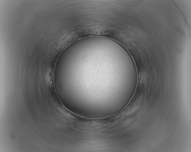 X0000113021202200909101831