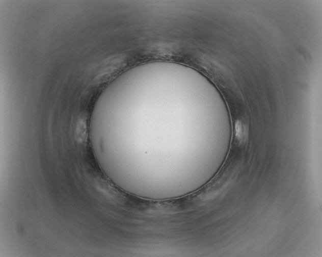 X0000113021203200909101831