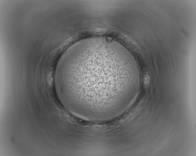 X0000113021204200909101831