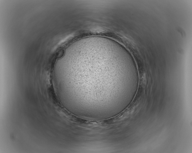 X0000113021205200909101831