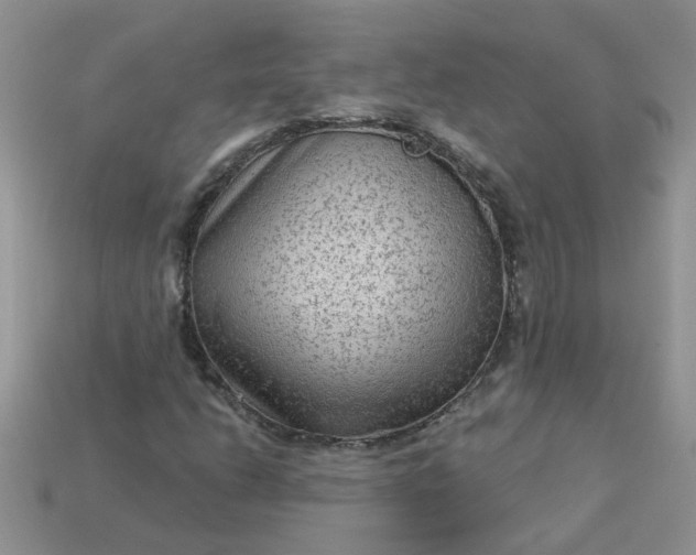 X0000113021206200909101831